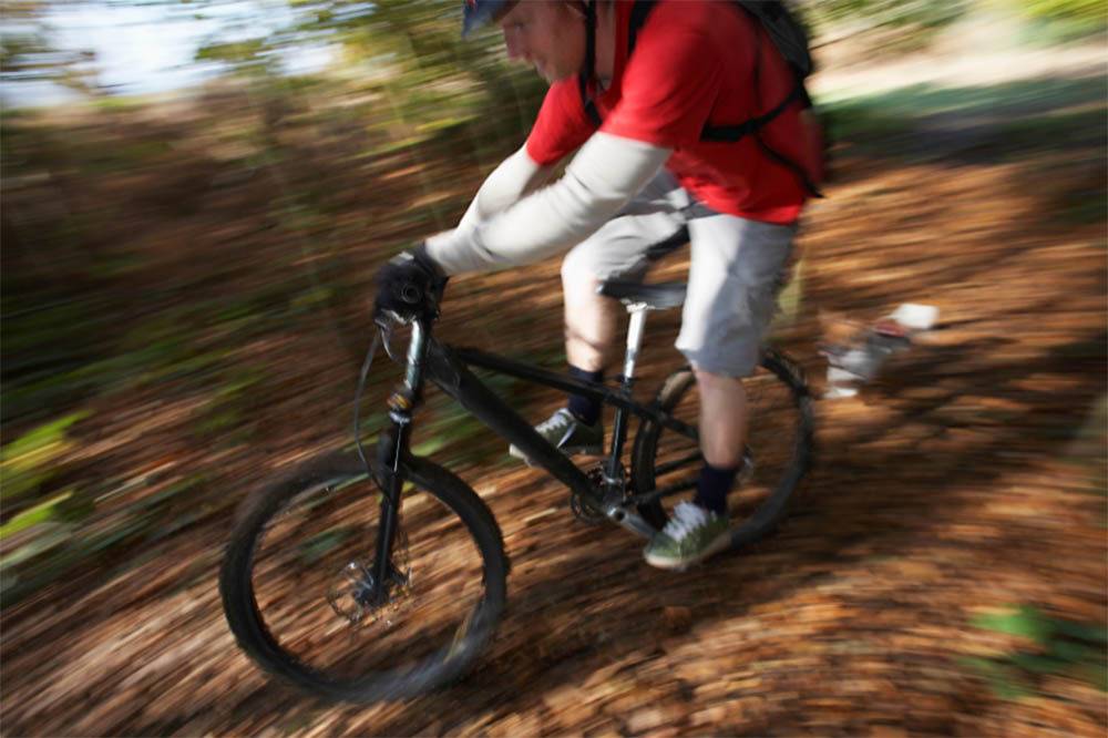 can you outrun abear on a bike can you outrun abear on a bike