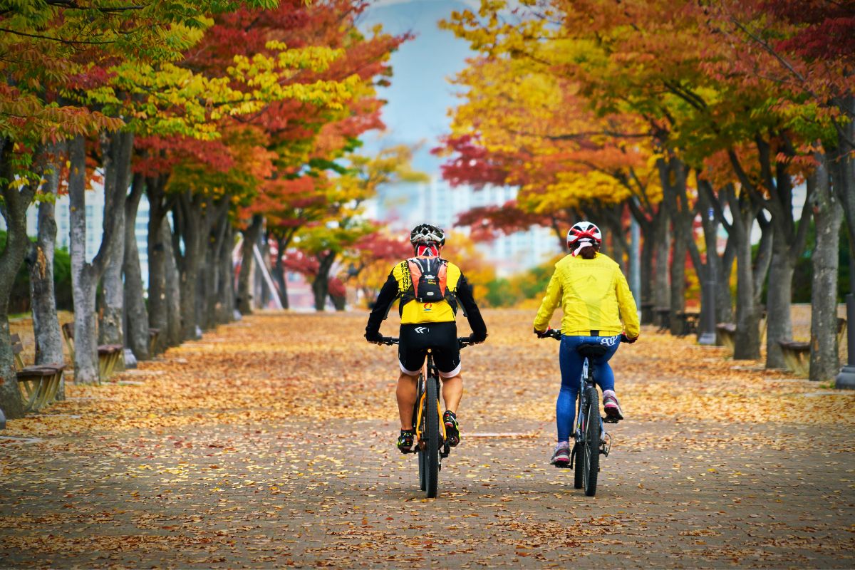 3T Exploro