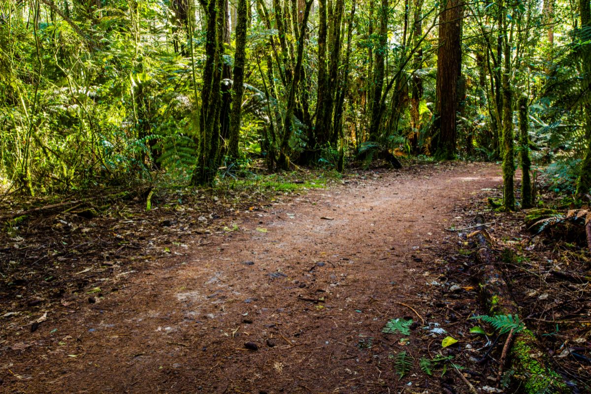 Best Virginia Bike Trails