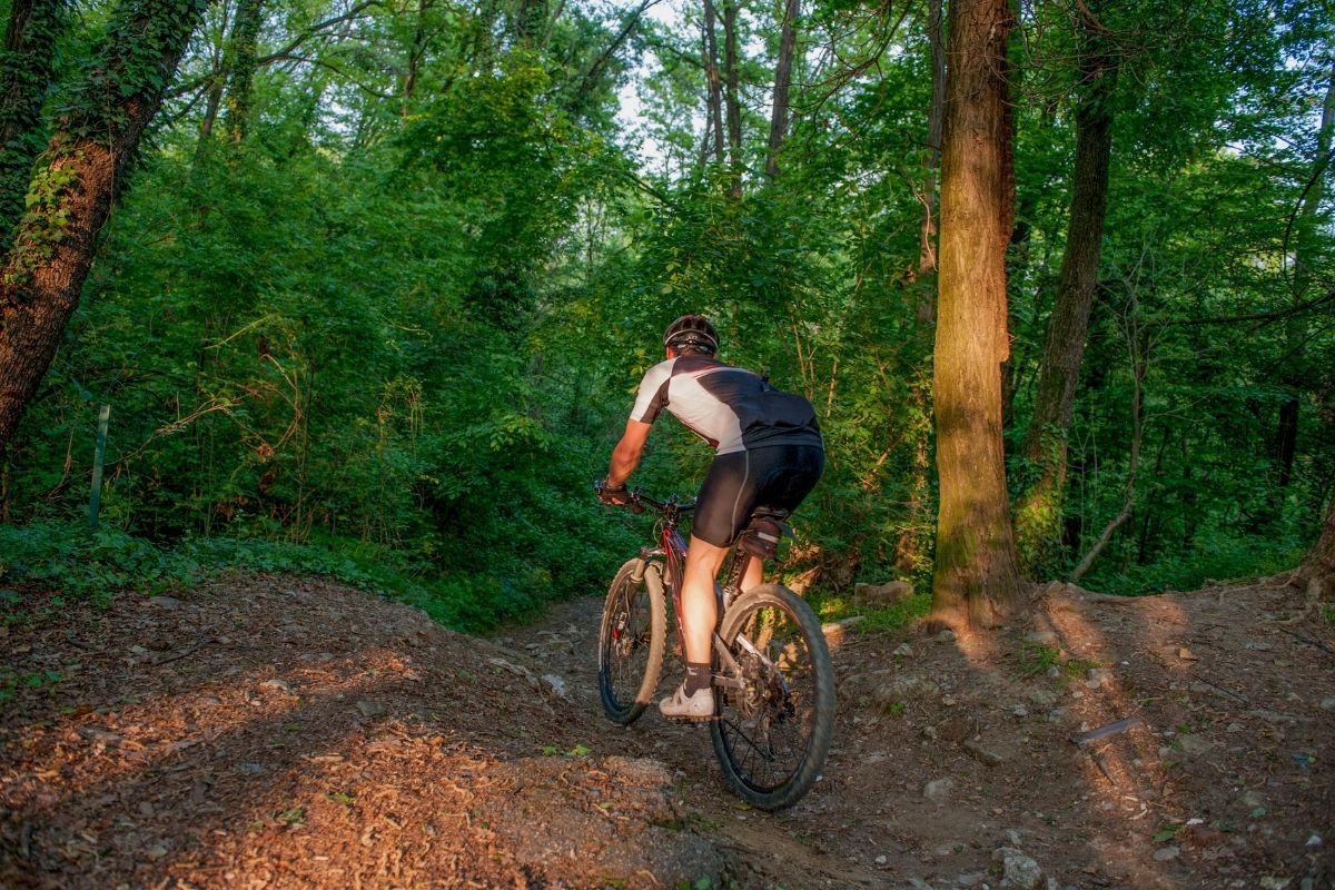 Lauf Anywhere Ultimate