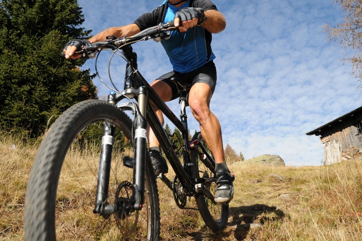 Marin DSX 2