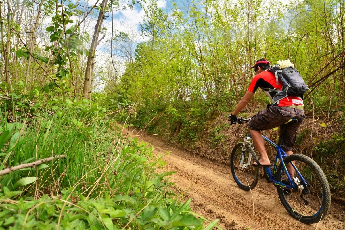 https://www.salsacycles.com/bikes/2022-journeyer-grx-600-650b
